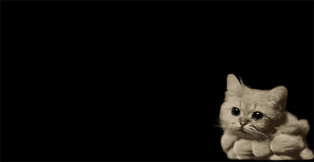 tumblr_n5zokeC8eU1qzcv7no1_r2_500.gif
